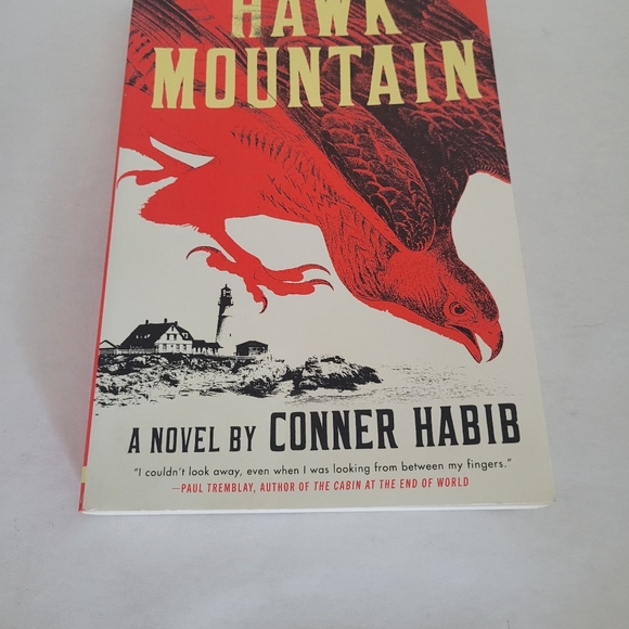 Hawk Mountain: A Novel - Picture 1 of 6